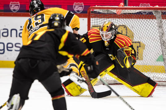 Brynäs målvakt Klara Peslarova