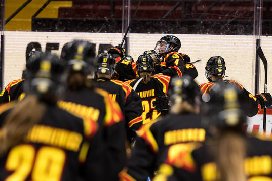 Brynäs spelarna jublar