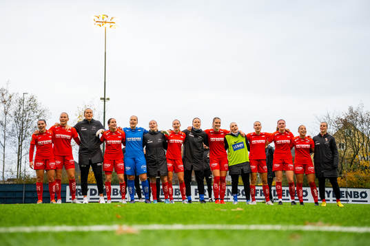Players of Brann