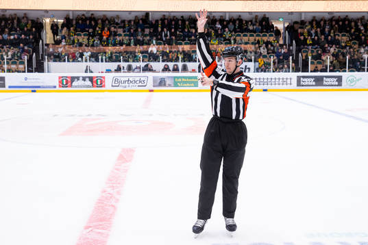 Domare Oscar Nilsson