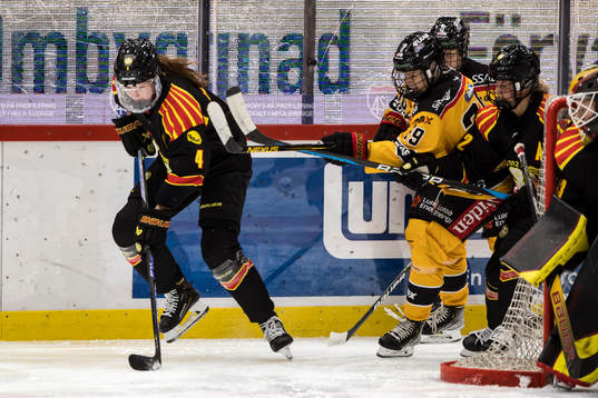 Brynäs Rosa Lindstedt