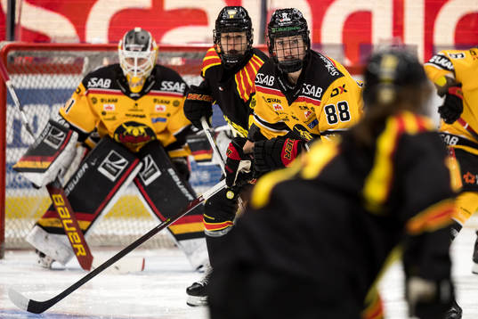 Brynäs Savine Wielenga