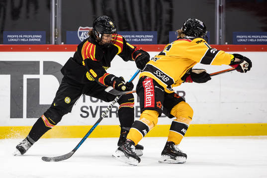 Brynäs Savine Wielenga