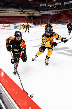 Brynäs Sara Cajanova och Luleås Linn Peterson