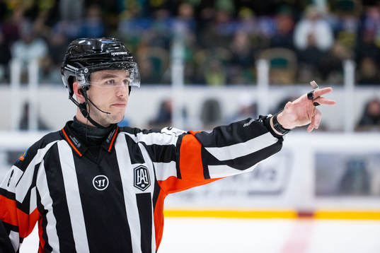 Domare Oscar Nilsson