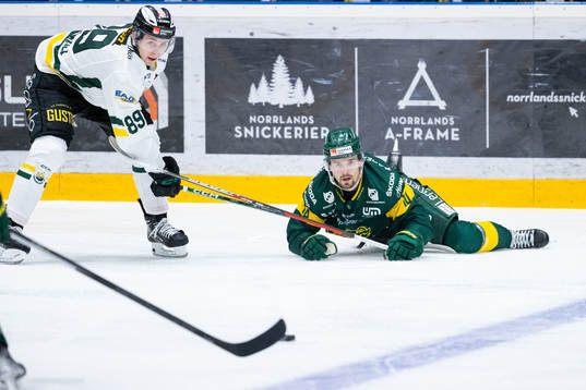 Björklövens Gerry Fitzgerald