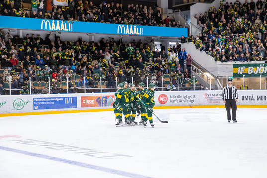 Björklöven jublar