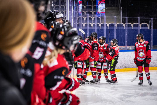 Malmö Redhawks spelare jublar
