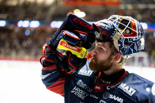 Linköpings målvakt Marcus Högberg
