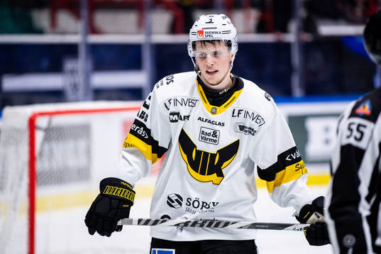 Västerås Ludvig Östman