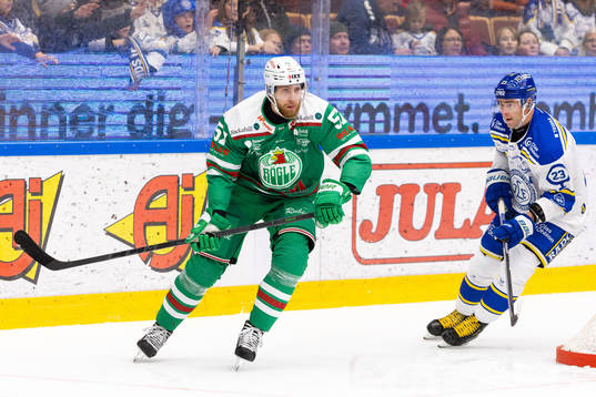 Rögles Vojtech Mozik och Leksands Mikael Ruohomaa
