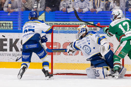 Leksands målvakt Mantas Armalis