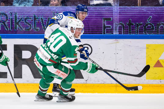 Leksands Mikael Ruohomaa