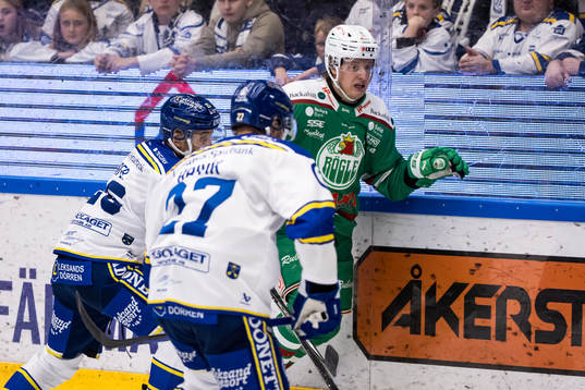 Rögles Tony Sund