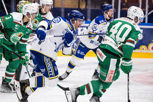Leksands Mikael Ruohomaa
