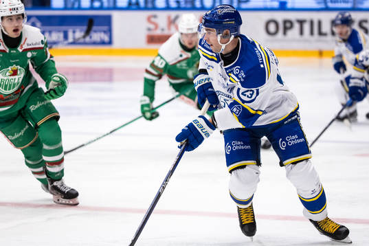 Leksands Mikael Ruohomaa