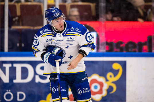 Leksands Mikael Ruohomaa