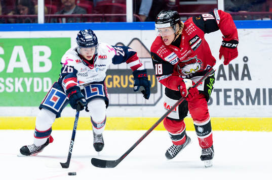 Linköpings Fabian Wagner och Malmö Redhawks Marcus