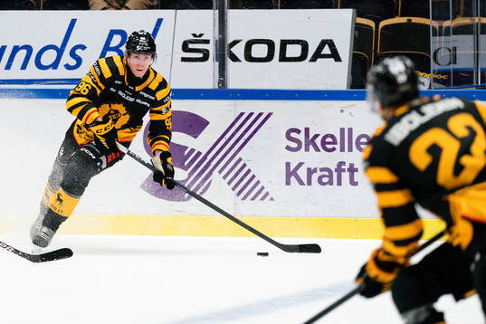 Skellefteås Rickard Hugg