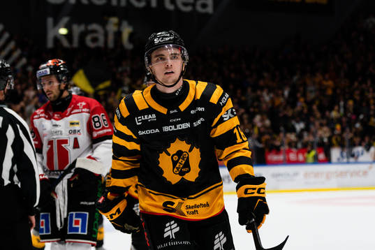 Skellefteås Elias Stenman jublar