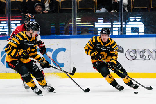 Skellefteås Andreas Wingerli och Max Lindholm