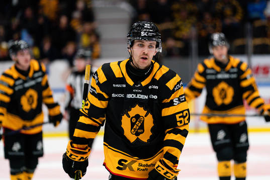 Skellefteås Arvid Lundberg deppar