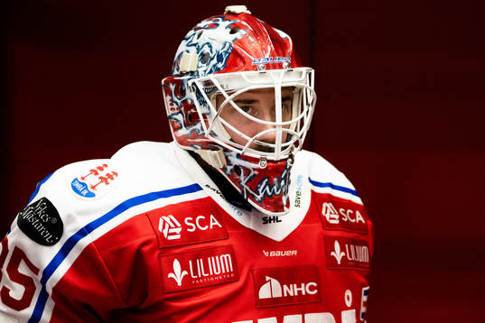 Timrås målvakt David Rautio