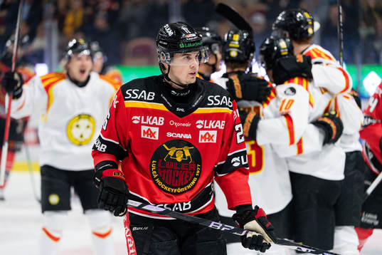 Luleås Radek Muzik deppar
