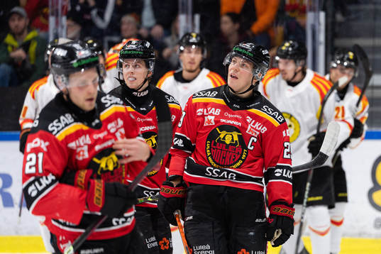Luleås Jesper Sellgren och Erik Gustafsson deppar
