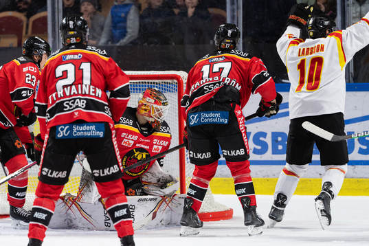 Brynäs Johan Larsson jublar
