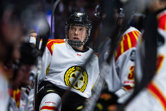 Brynäs Theo Lindstein