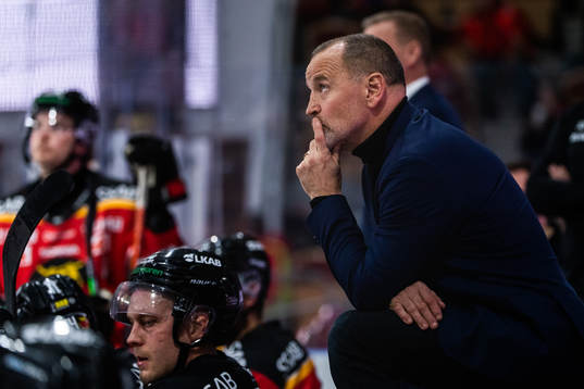 Luleås tränare Thomas Berglund deppar