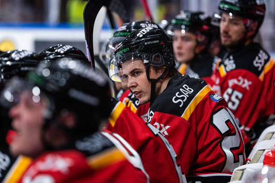 Luleås Radek Muzik