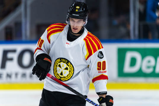 Brynäs David Sklenicka