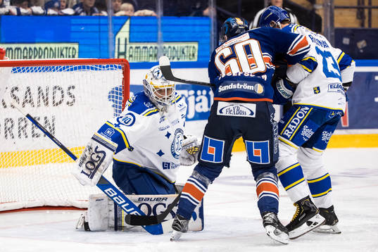 Leksands målvakt Mantas Armalis