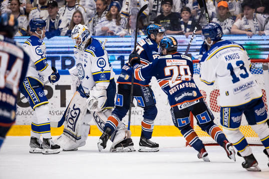 Leksands målvakt Mantas Armalis deppar