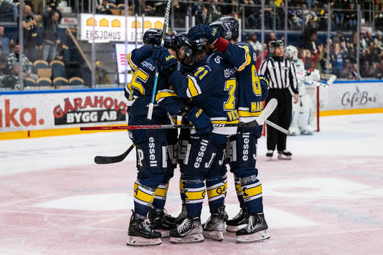 HV71s spelare jublar