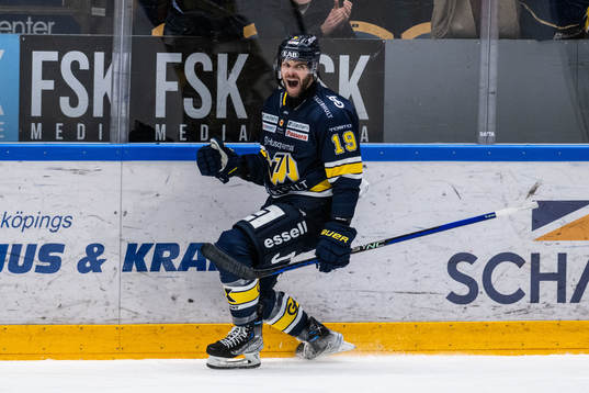 HV71s Sam Vigneault jublar 3-1 (som senare blir bortdömt