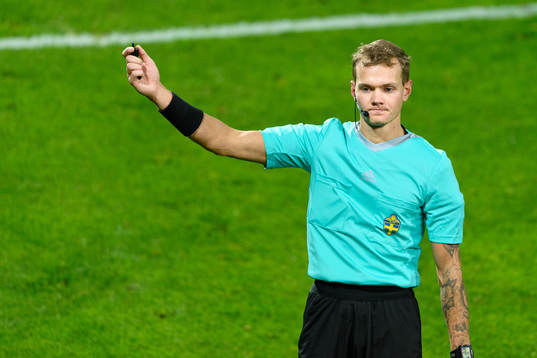 Domare Fredrik Alknäs