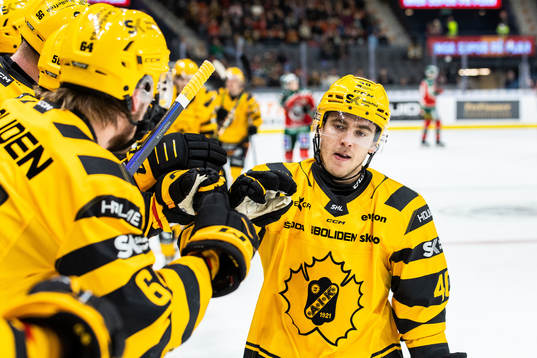 Skellefteås Andreas Wingerli jublar