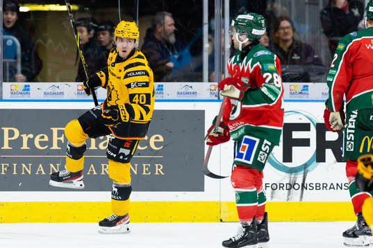 Skellefteås Andreas Wingerli jublar