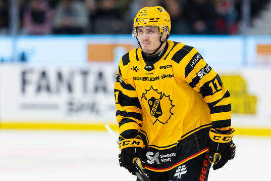 Skellefteås Max Lindholm
