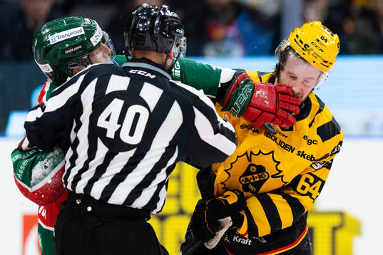 Frölundas Joel Lundqvist och Skellefteås Jonathan Pudas