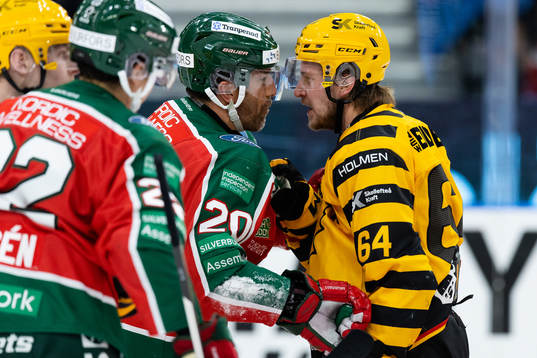 Frölundas Joel Lundqvist och Skellefteås Jonathan Pudas