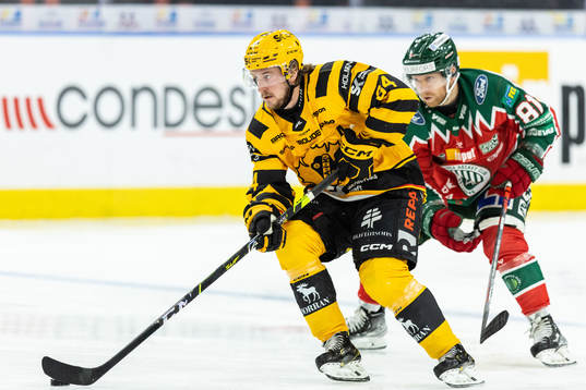 Skellefteås Jonathan Pudas och Frölundas Ryan Lasch