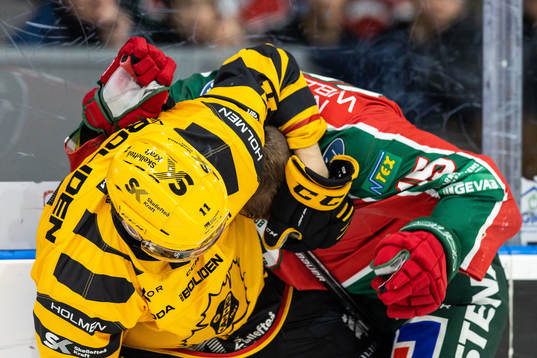 Skellefteås Max Lindholm och Frölundas Anders Grönlund