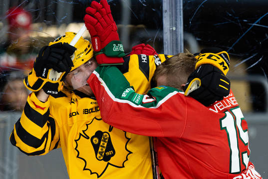 Skellefteås Max Lindholm och Frölundas Anders Grönlund