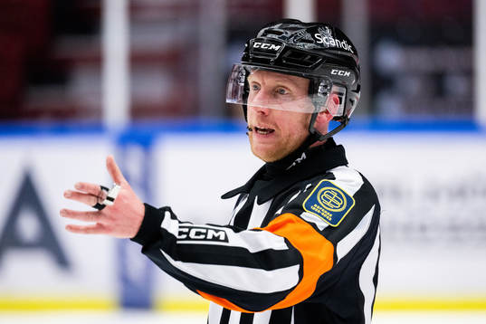 Domare Mikael Holm