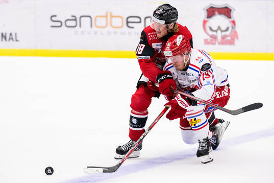 Malmö Redhawks Marcus Sylvegård och Timrås Erik Andersson