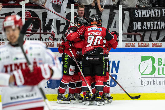 Malmö Redhawks spelare jublar